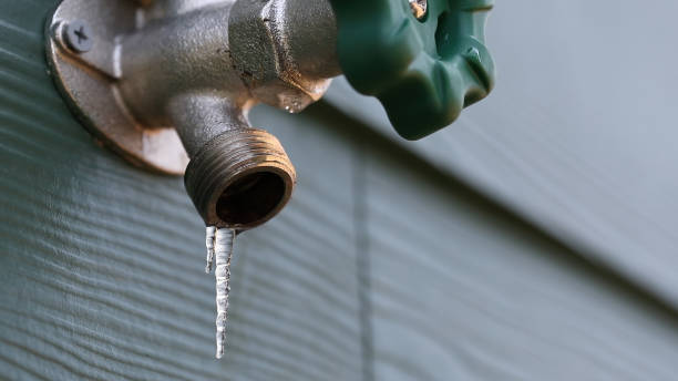 Best Local Plumber Services  in La Quinta, CA